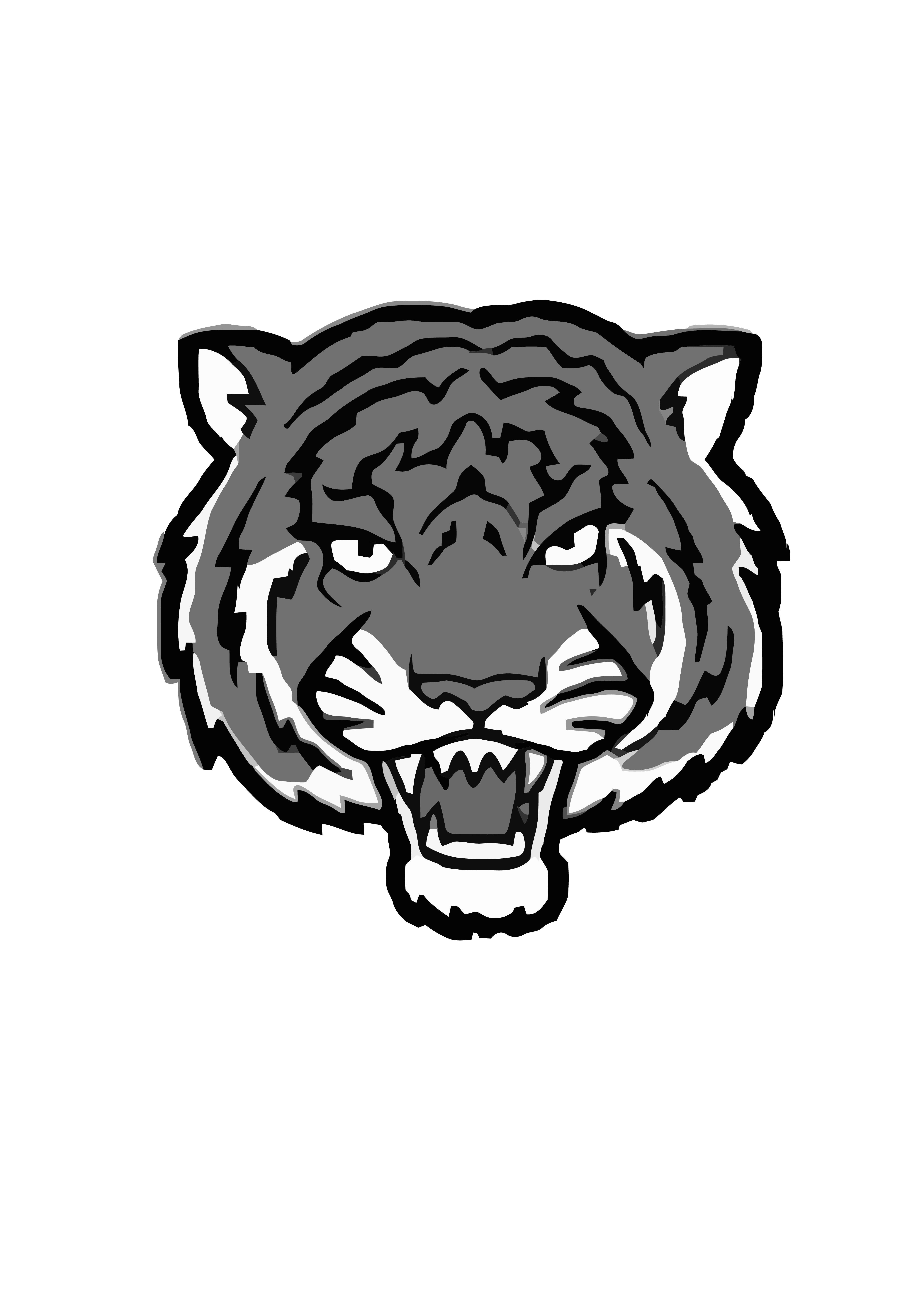 Tiger Wests Little Athletics